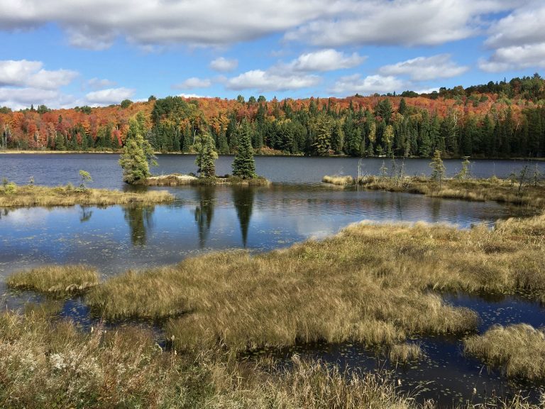 Parc provincial Algonquin en automne, Ontario, Canada
