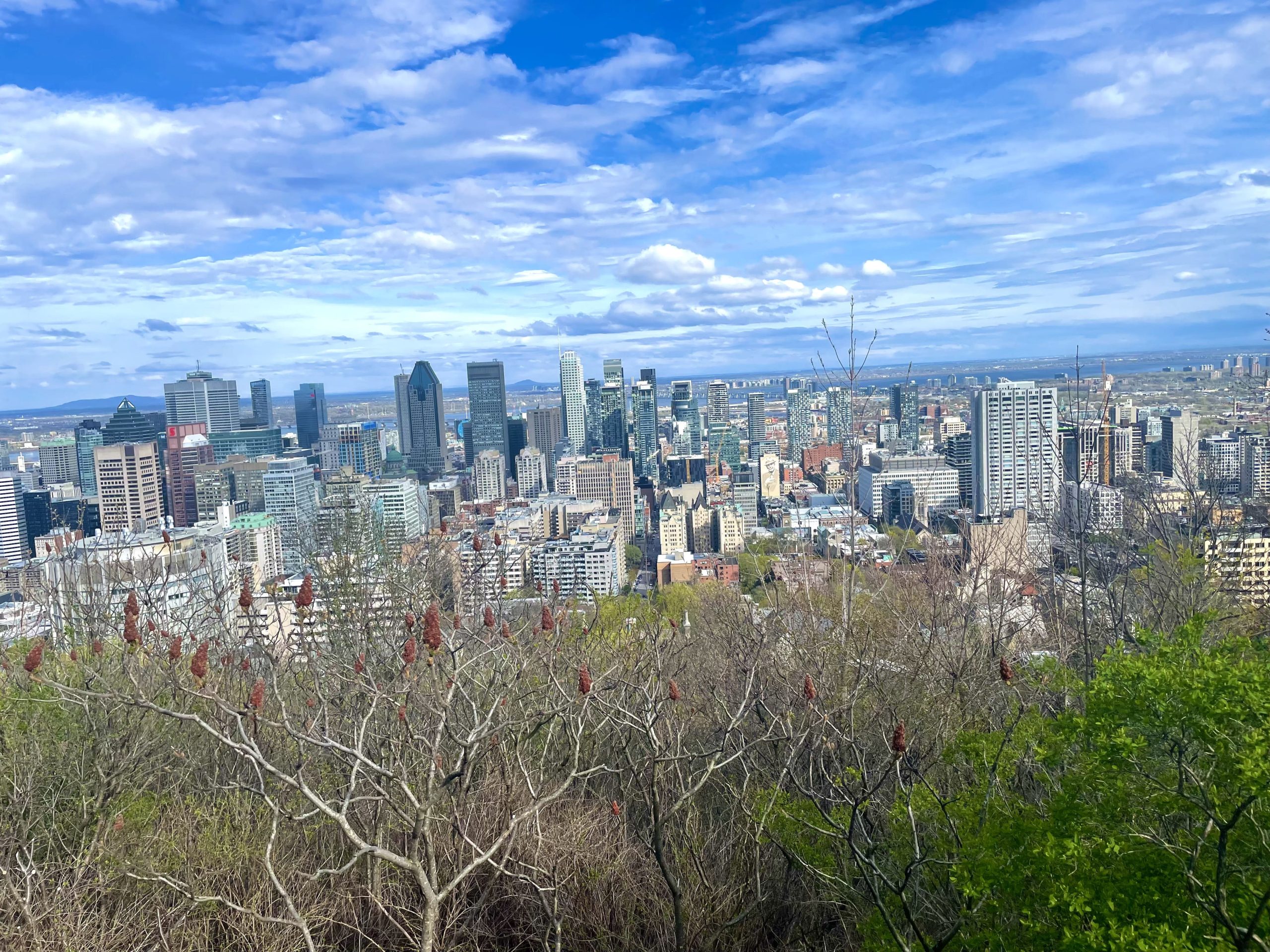 Skyline de Montréal depuis le belvédère du Mont-Royal.
